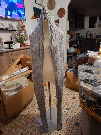 (Y)echarpe a manche grise neuve femme prix 6 euro