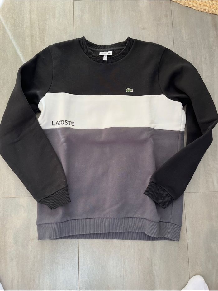 Sweat Lacoste