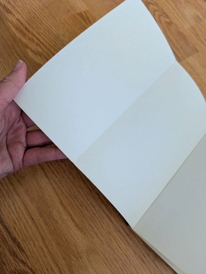 Livre dragonball édition pastel n°12 - photo numéro 6