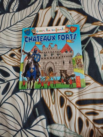 Livre sur les châteaux forts