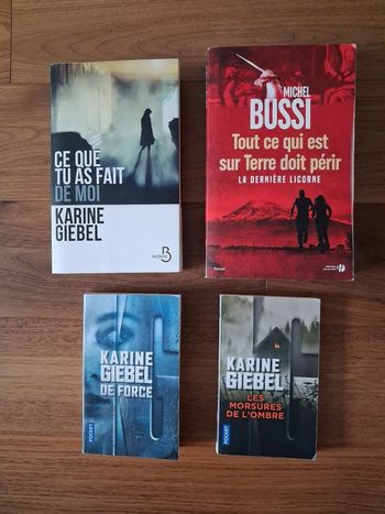 Lot de 2 Thrillers dont 1 de Karine Giebel