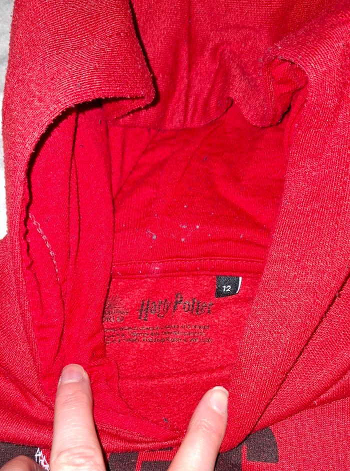 Sweat capuche garçon 12 ans - photo numéro 4
