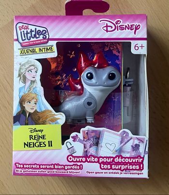 Carnet secret