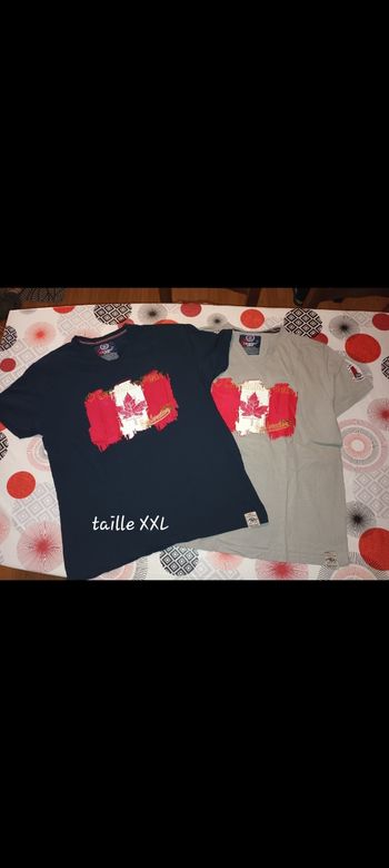 Lot 2 t-shirts manches courtes Canadian Peak 👨 taille XXL
