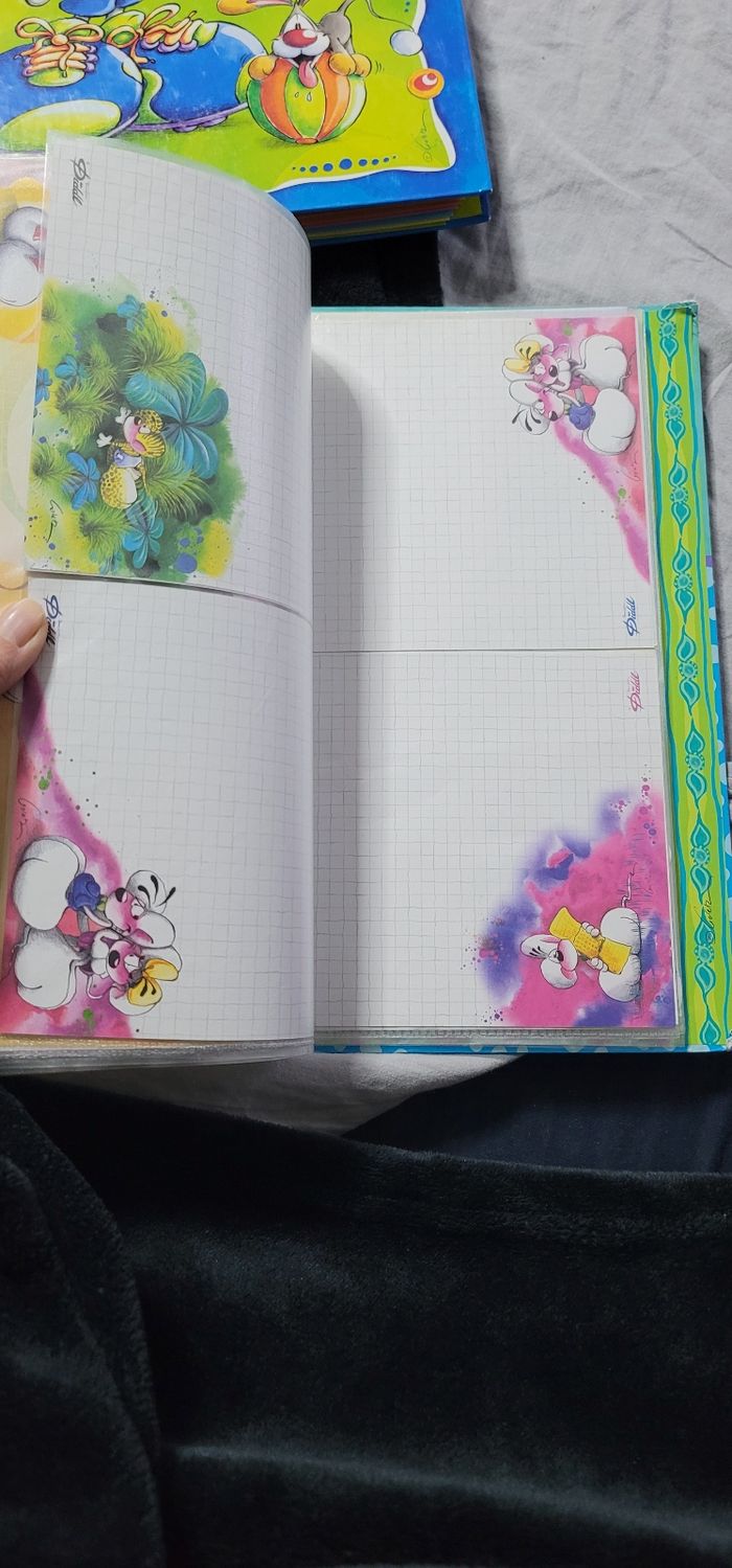 Classeur diddl - photo numéro 4