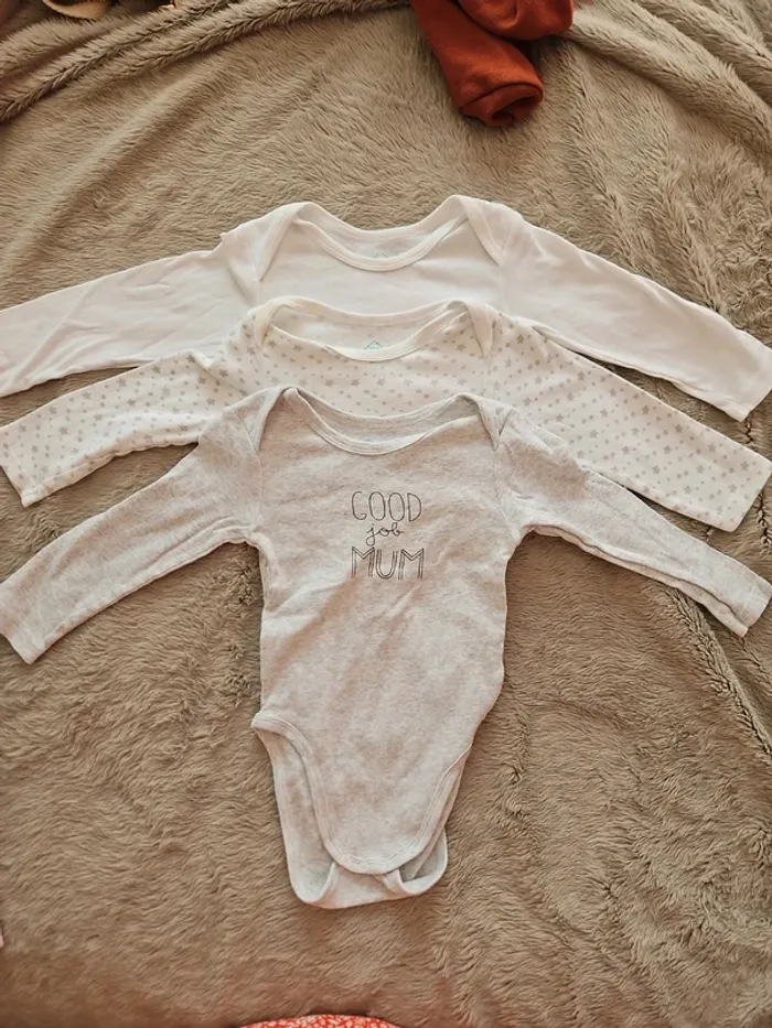 Lot bodies ml 23m