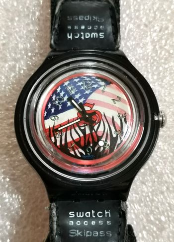 Montre Collecteur SWATCH "Palmer"