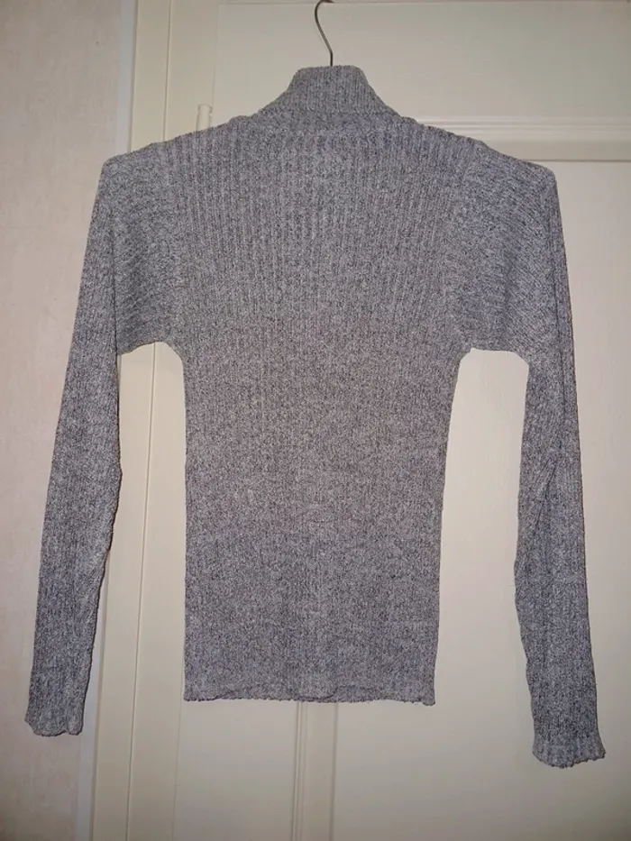 Pulls col Roulé Wild Winter - photo numéro 2