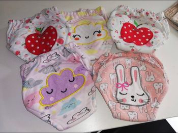 Culotte d’apprentissage