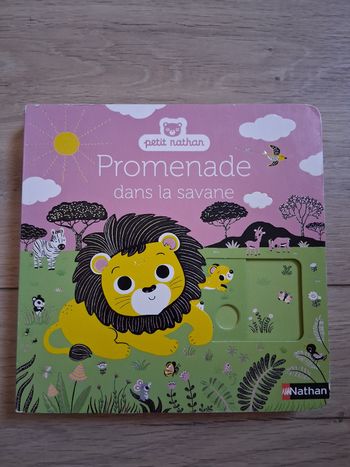 Promenade dans la savane