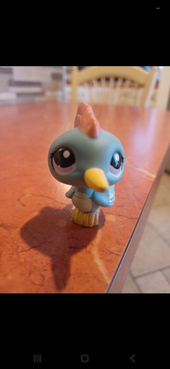 Little Petshop pivert