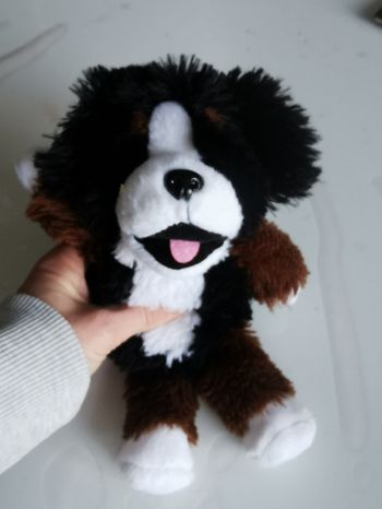 Peluche chien