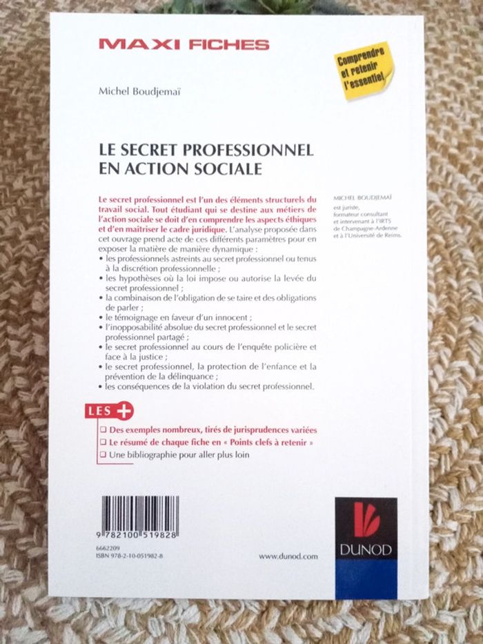 Maxi Fiches Le secret professionnel en action sociale - photo numéro 4