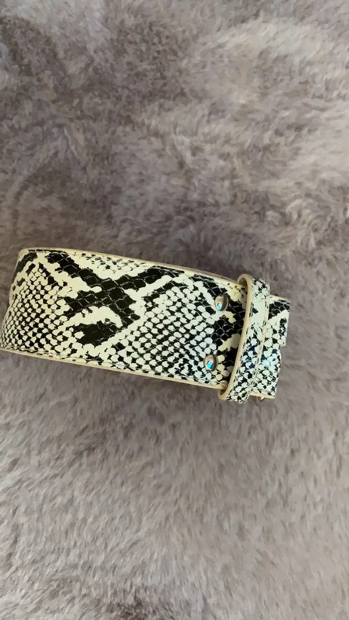Ceinture femme motif python