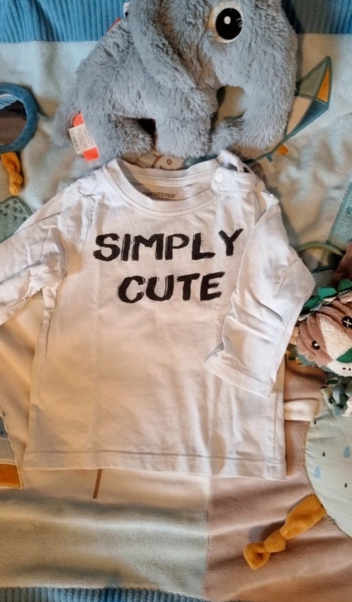 Ensemble orchestra - photo numéro 2