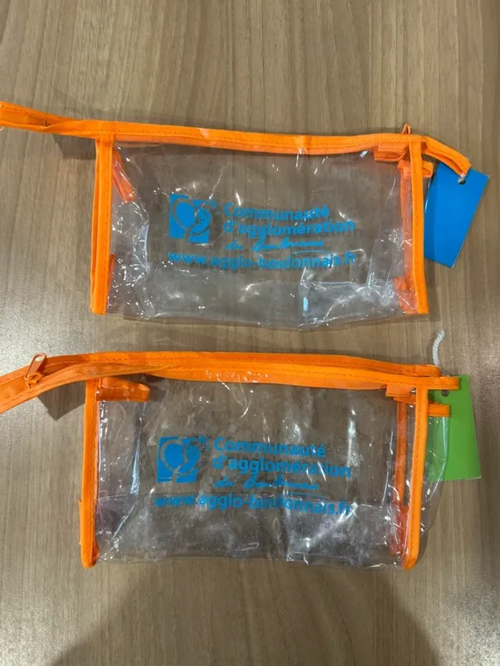 Lot de 2 trousses transparentes