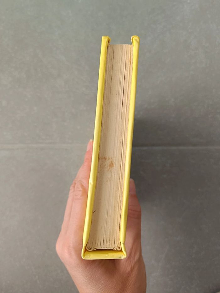 Livre Les malheurs de Sophie - photo numéro 3