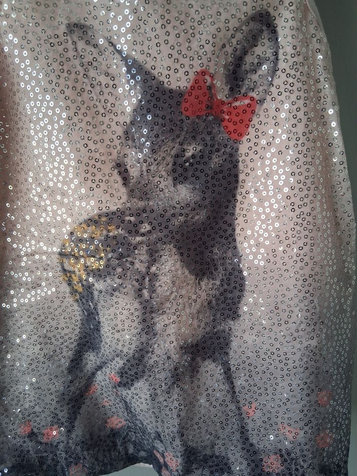 Robe. - photo numéro 2