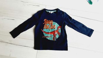 Vêtement garçon tee-shirt manches longues T rex Du Pareil Au même DPAM 6 ans