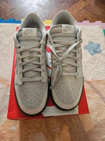 Nike Dunk Low Retro phantom Taille 45