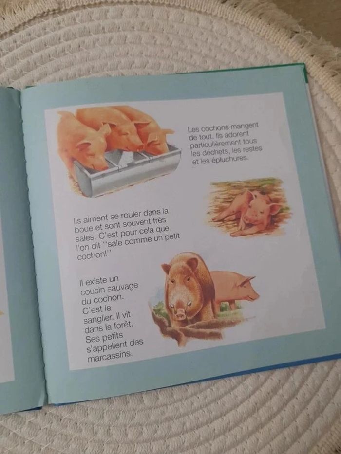 Livre Cochonnet le petit cochon - photo numéro 5