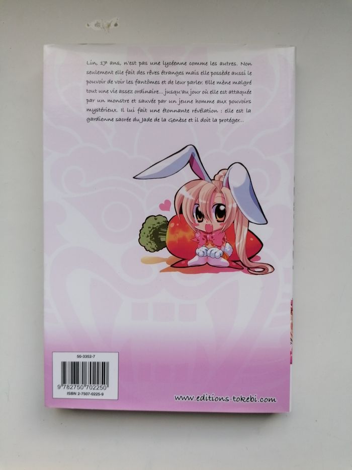 Les ailes du phénix tome 1 - photo numéro 2