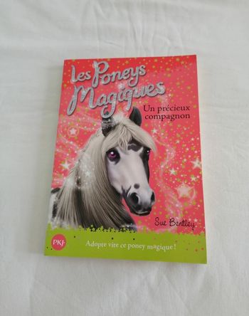Livre les poneys magiques,  un précieux compagnon