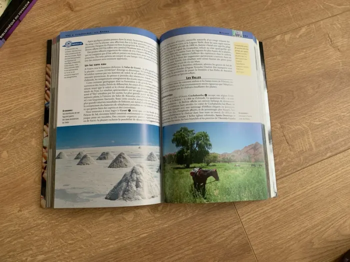 Guide, Gallimard, Amérique du Sud, bibliothèque du voyageur - photo numéro 3