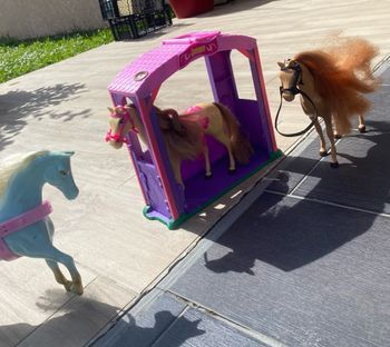 Écurie et chevaux barbie