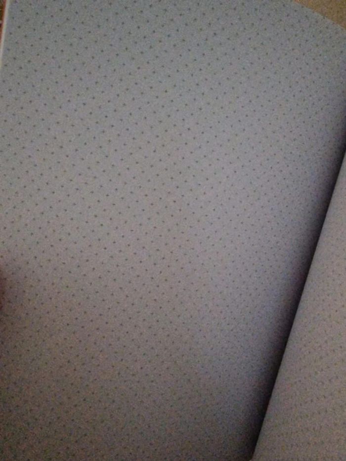 Grand Carnet - photo numéro 3