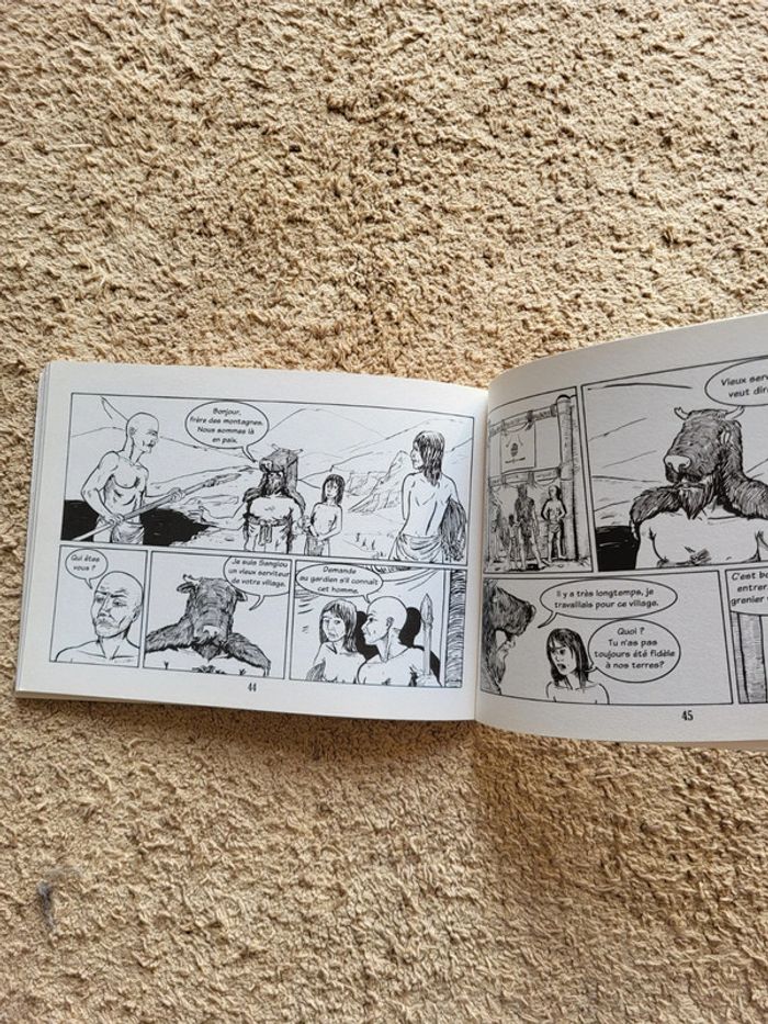 Lot de 2 BD Sathaden Tome 1 Le rite de passage et Tome 2 Le temple du corbeau - photo numéro 9