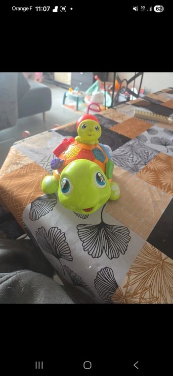 Tortue multi activité