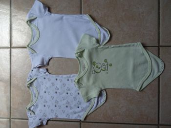 Lot de 3 bodies manches courtes 6 mois