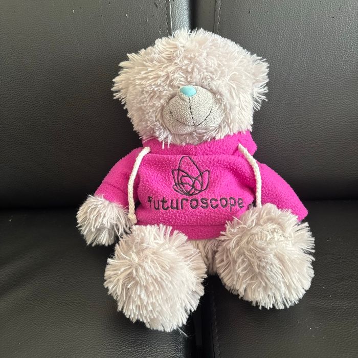 Doudou ours futuroscope