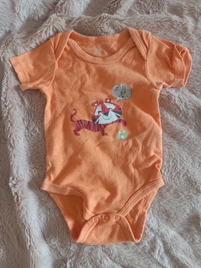 Lot de 3 body manches courtes kitchoun - photo numéro 4