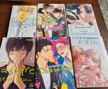 Lot 6 mangas yaoi boys'love
