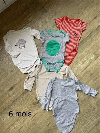 Bodies 6 mois
