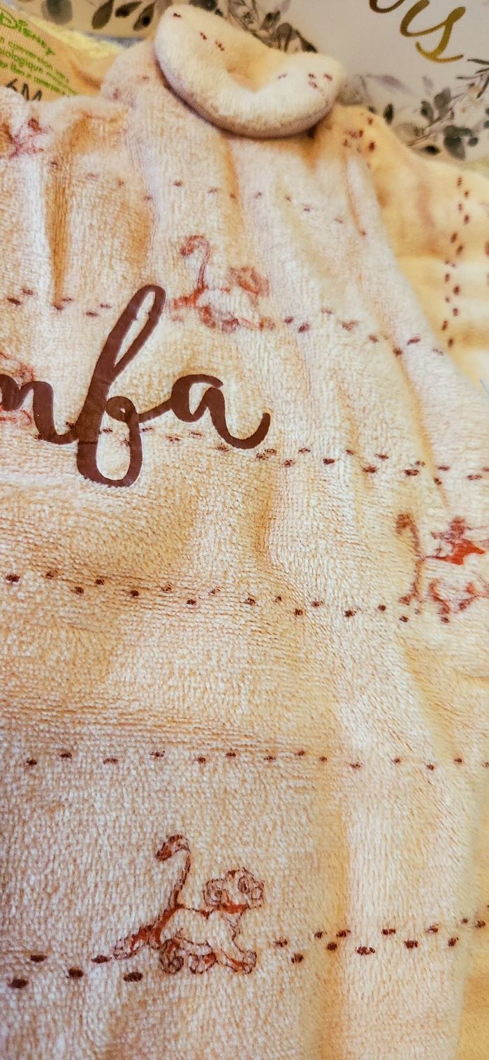 Gigoteuse Bébé Garçon 0/6mois Disney - photo numéro 3