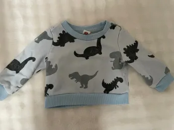 Pull dinosaure