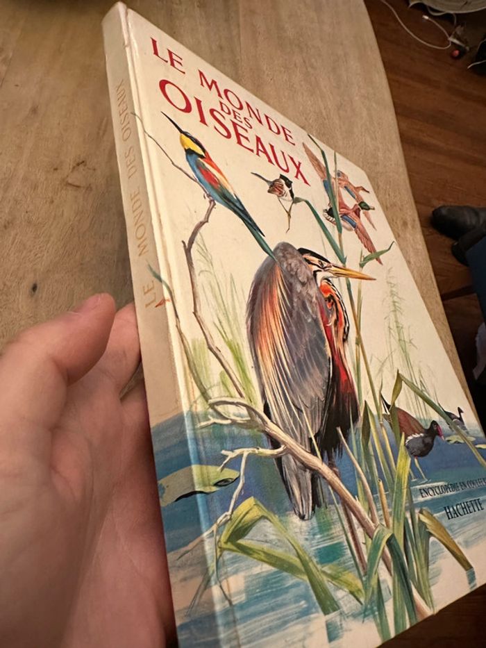 Pierre Probst Jean Dorst - Encyclopédie en couleurs Le monde des oiseaux Hachette - photo numéro 2