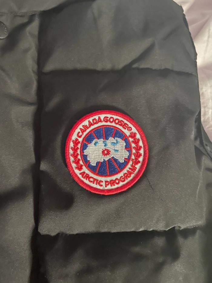 Canada goose - photo numéro 2