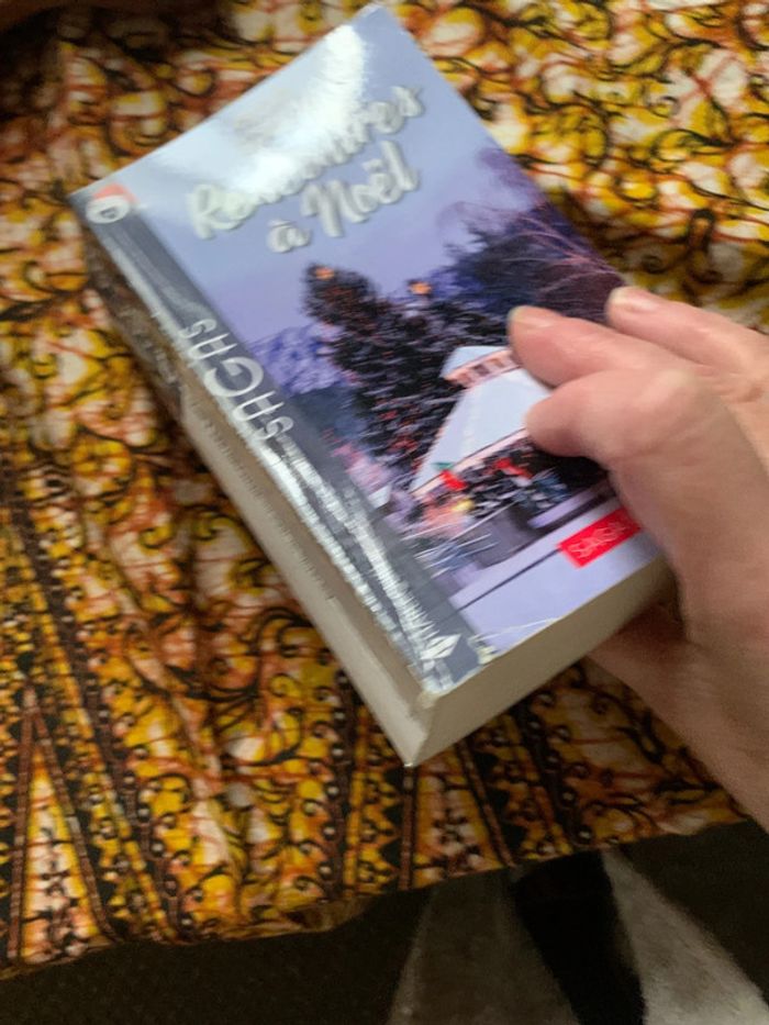 Rencontres à Noël - photo numéro 3