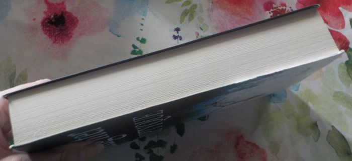 TRIPTYQUE de Karin SLAUGHTER Ed. Le Grand Livre du Mois - photo numéro 5