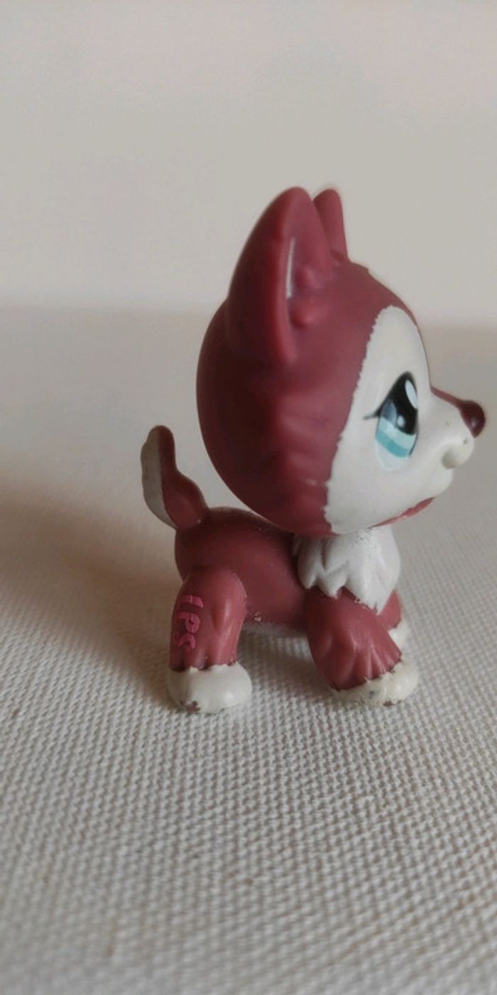 My littlest petshop chien lps husky 1793 - photo numéro 3