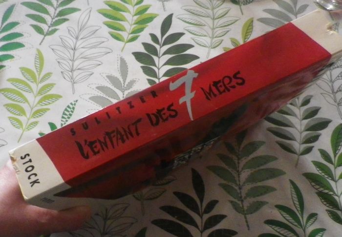 L'enfant des 7 mers de Paul-Loup Sulitzer Ed. Stock - photo numéro 3