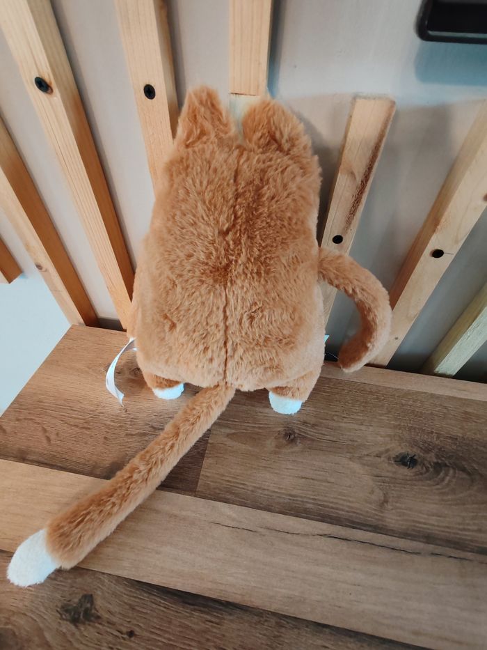 Chat tao avec sa poche et son bébé - photo numéro 4