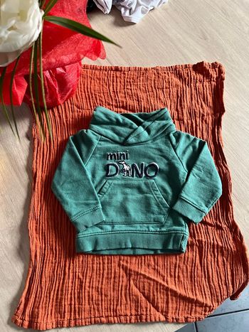 Sweat mini dino tape à l’œil 3mois 59cm