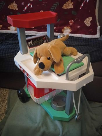 Vétérinaire avec son chien