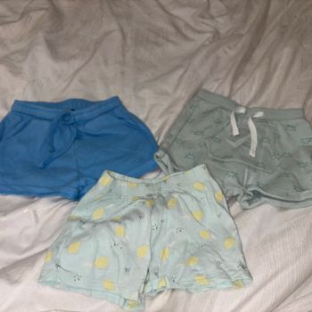 lot 3 short