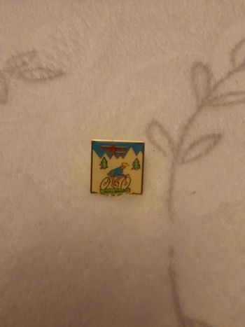 Pins vintage defis nature